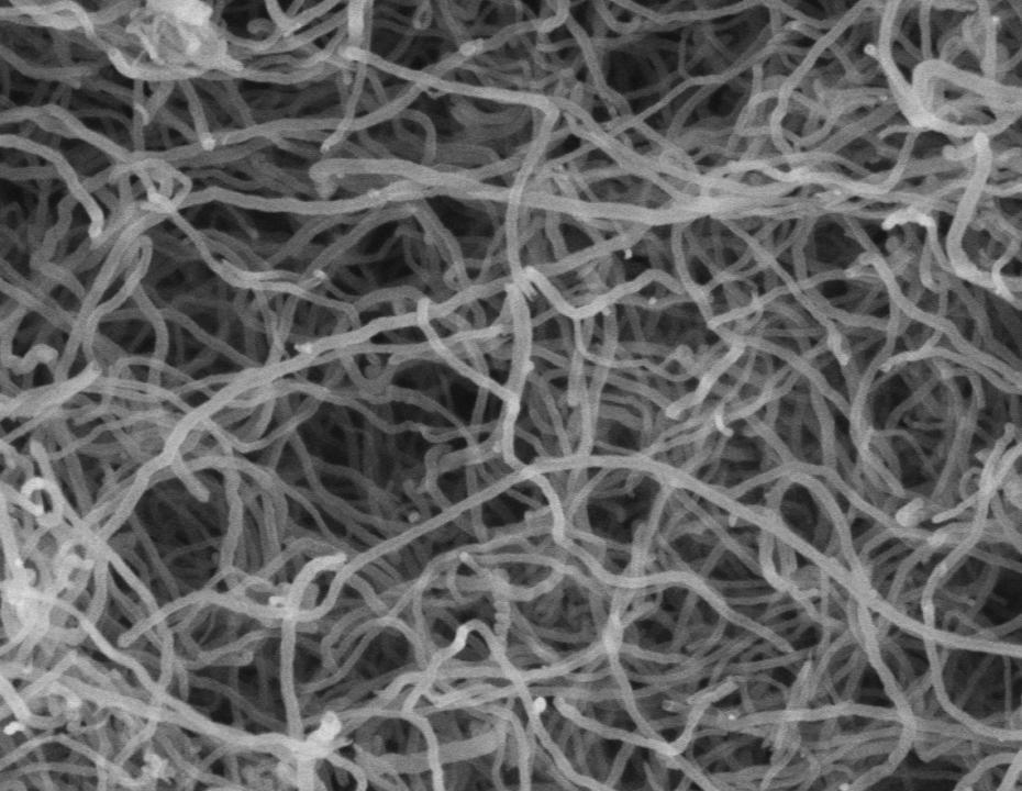 Carbon Nanotube