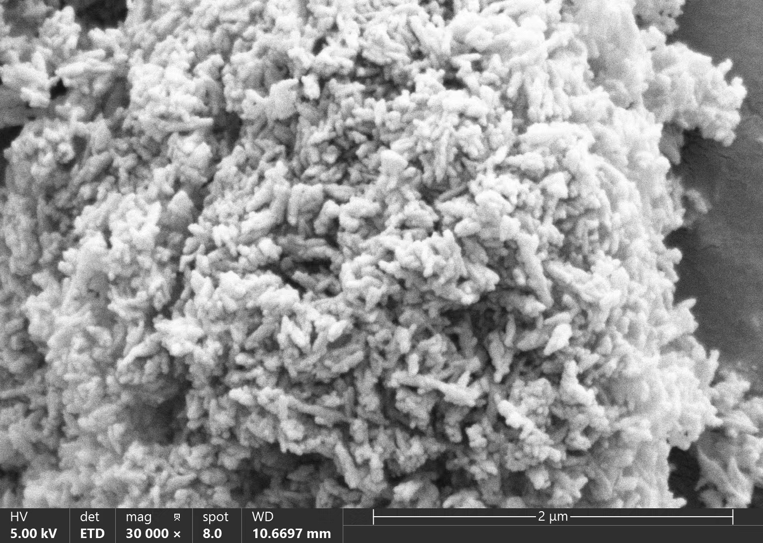 Hydroxyapatite (HAp) Powder for Oral Care, Type I