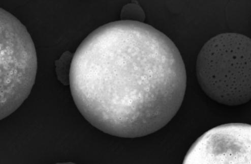 Poly D,L-lactic Acid (PLLA) Microspheres